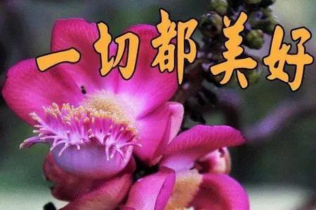 50岁至60岁女人早上好祝福语