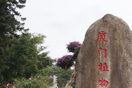 植物园从哪个门进去比较好