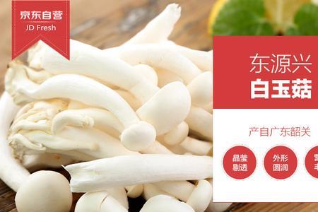 白玉菇冷藏能放几天