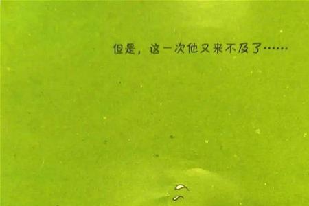 笨笨笨是什么意思