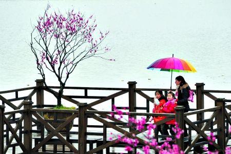 三八节女人游玩紫薇洞免费吗