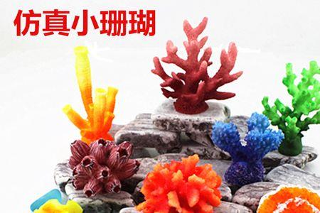 珊瑚枝是珊瑚骨吗