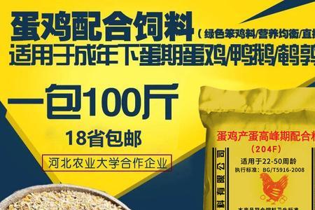 食用油加入蛋鸡饲料的利弊