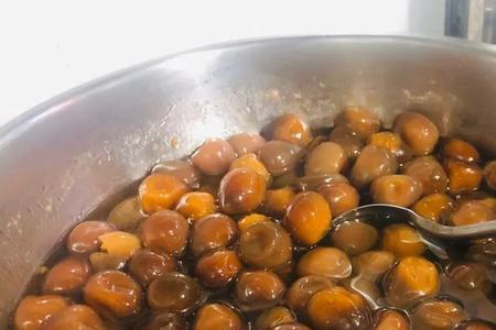 潮汕料鸠学名