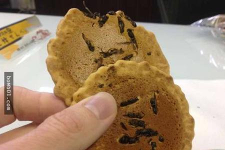 蚂蚁爬过的肉高温煮熟能吃吗