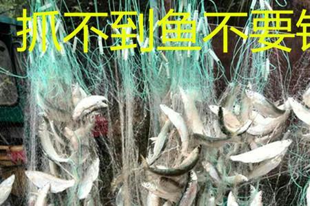 丝网捕鱼能重复用几次