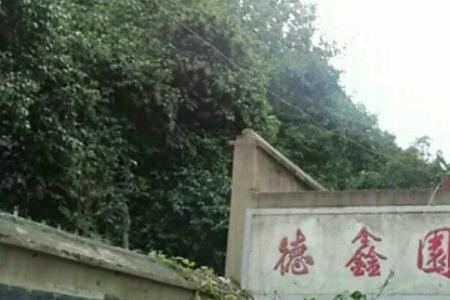 德鑫嘉园18号楼有几层
