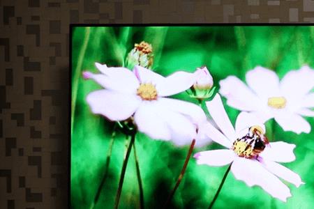 东芝电视屏幕两边暗影