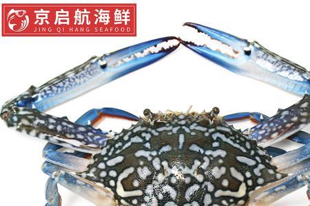 梭子蟹贵还是飞蟹贵