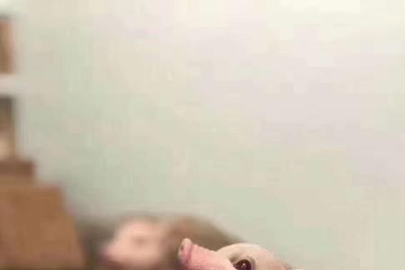 在搬砖吗啥意思