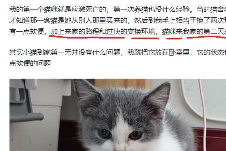 为什么野猫不会应激