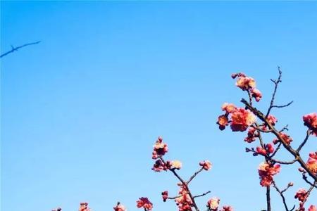 又是一个春夏是什么意思