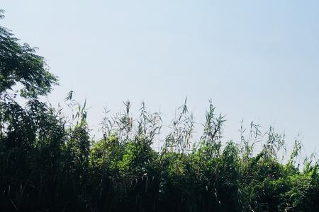 漾和荡的意思