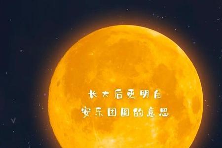 天上月不可得文案