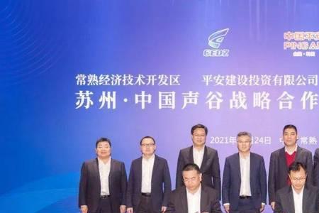 苏州声谷是做什么的