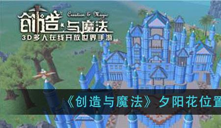 创造与魔法夕阳花有保护时间吗