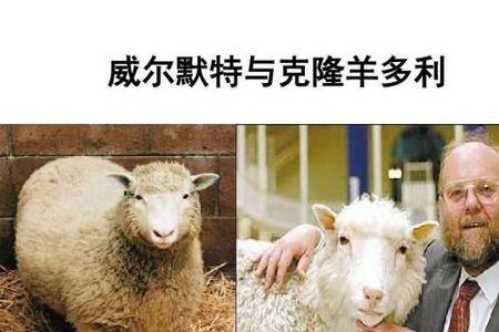 克隆体能不能繁殖