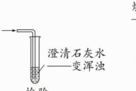 怎样制取澄清的石灰水