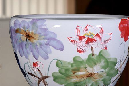 金鱼缸种莲花可以吗