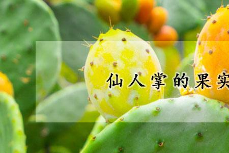 仙人掌果实不变红怎么办