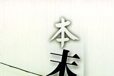 本体打一成语
