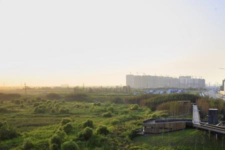 群力新区什么时候开始建的