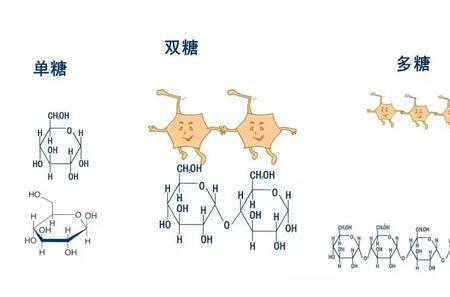 糖盐和葡萄糖的区别
