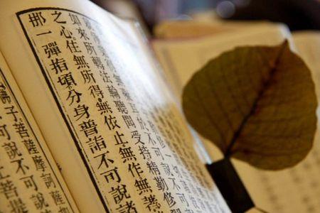 清雅多才的意思