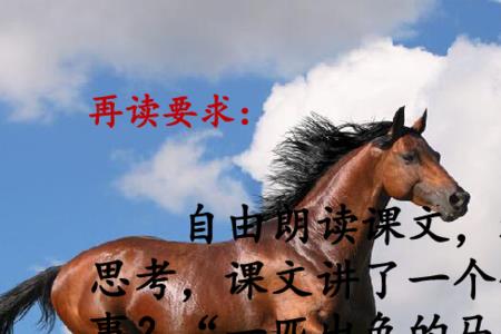 一匹出色的马课文分几段
