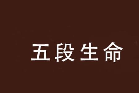 生命链的五个环节是指