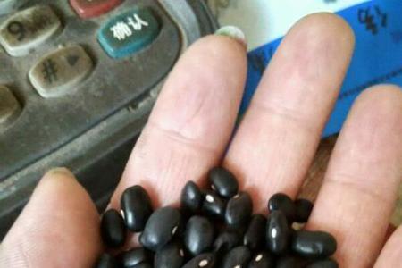 贵州人的马料豆怎么做