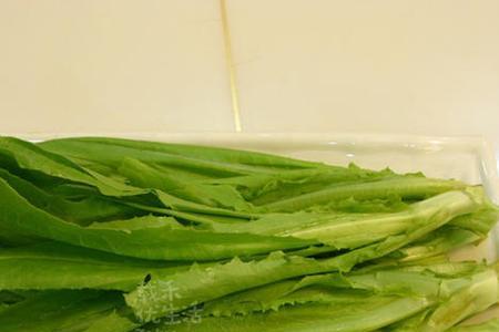 油麦菜尖能吃吗