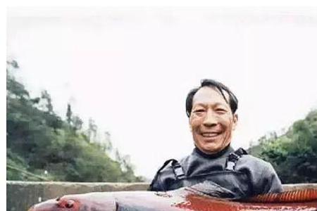 三峡水库最大的鲤鱼有多大