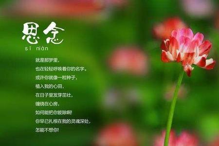 偷偷思念人的诗句
