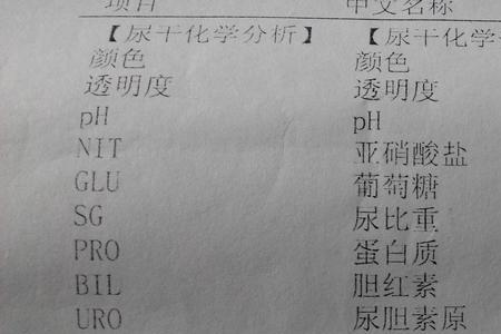 尿在化学上名词叫什么