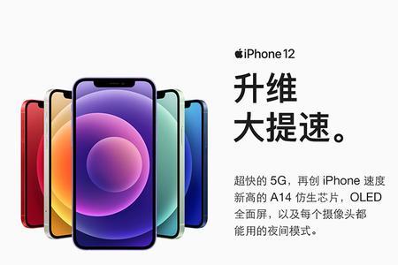 苹果12mgf是什么版本