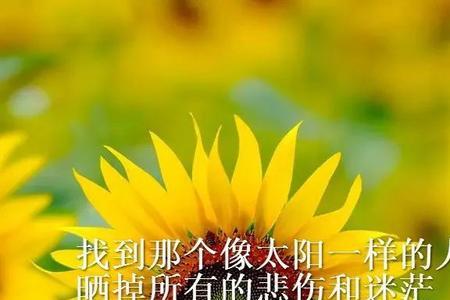 非常感慨是什么意思