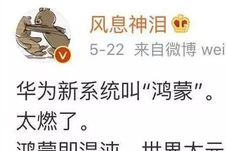 鸿蒙和盘古谁的年纪大