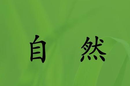 什么叫自然汁