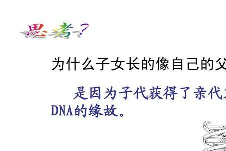 为什么有的基因不表达