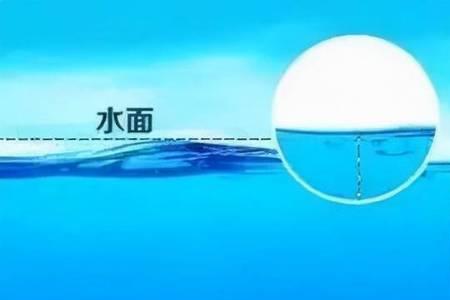 鲤鱼调平水钓三目正确方法