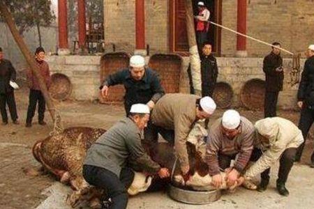 回族有姓秦的吗