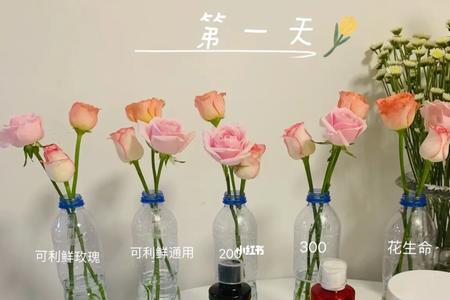 鲜花保鲜剂和保鲜液哪个好