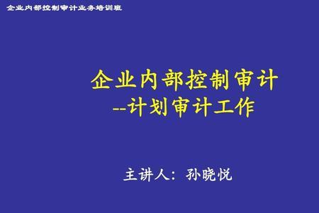 实施审计工作的两项工作
