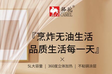 骆驼空气炸锅是哪里生产