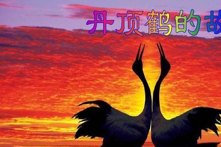 丹顶鹤女孩歌曲原唱