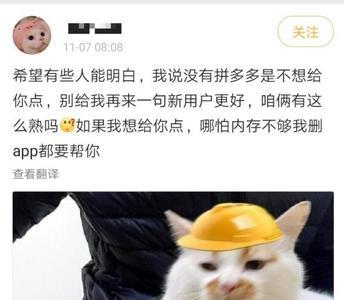 拼多多代表性动物是什么