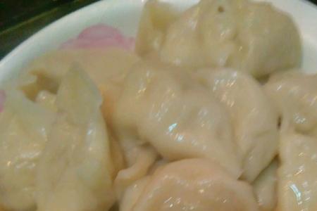 羊肉苦瓜饺子的做法大全