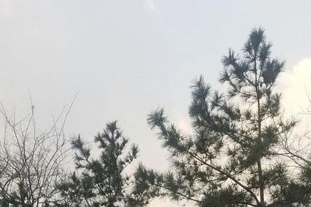 金吉拉300摩托车160能骑吗