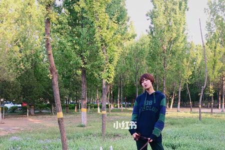 杜宾一般用多长的p链